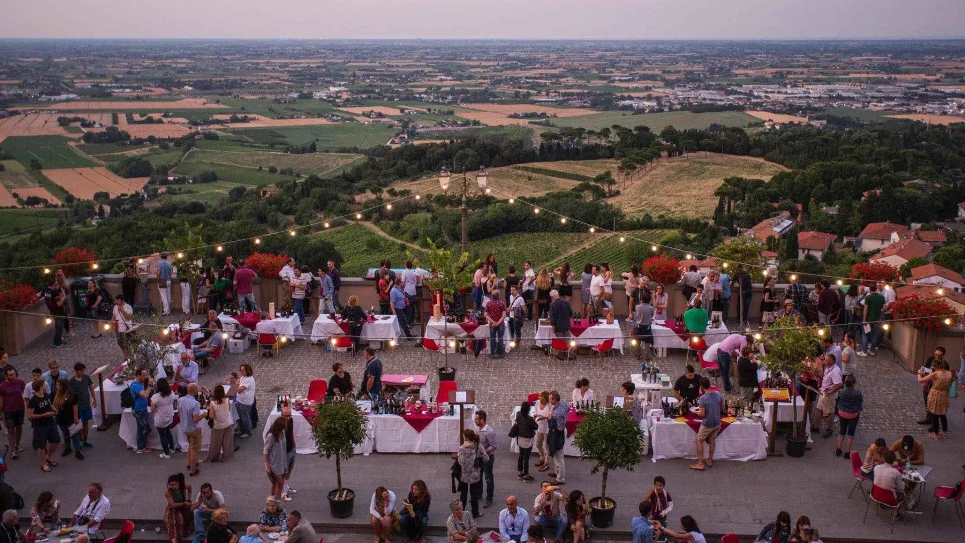 Vini e Sapori dei Colli di Forlì e Cesena Vini e Sapori dei Colli di Forlì e Cesena