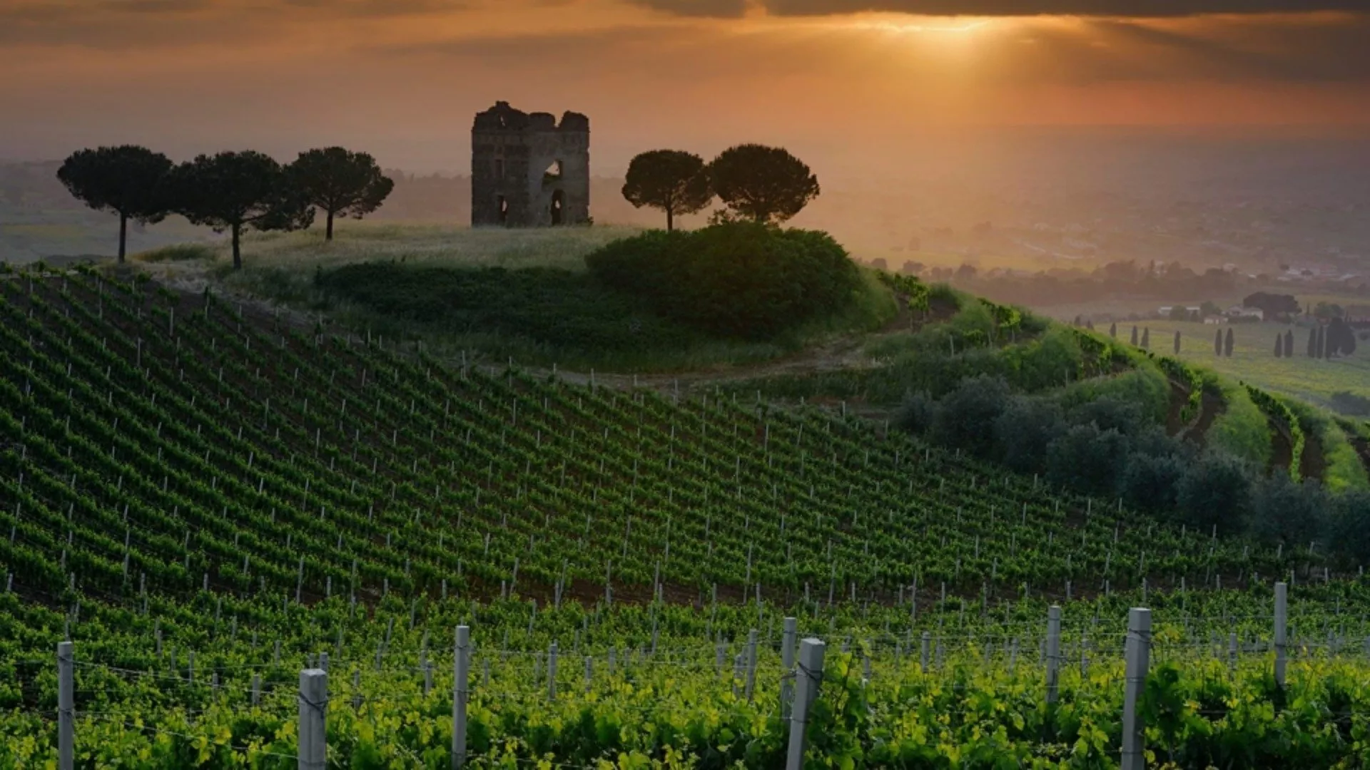 Frascati wine route Frascati wine route