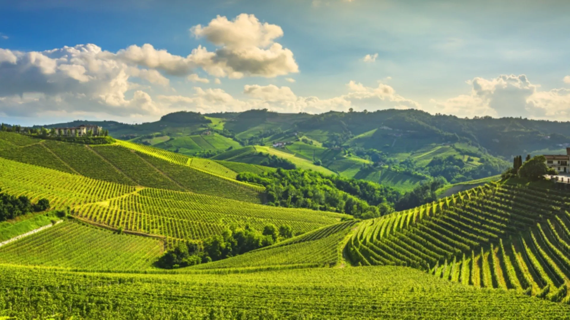 Degustazioni Vini Barolo nelle Langhe Degustazioni Vini Barolo nelle Langhe