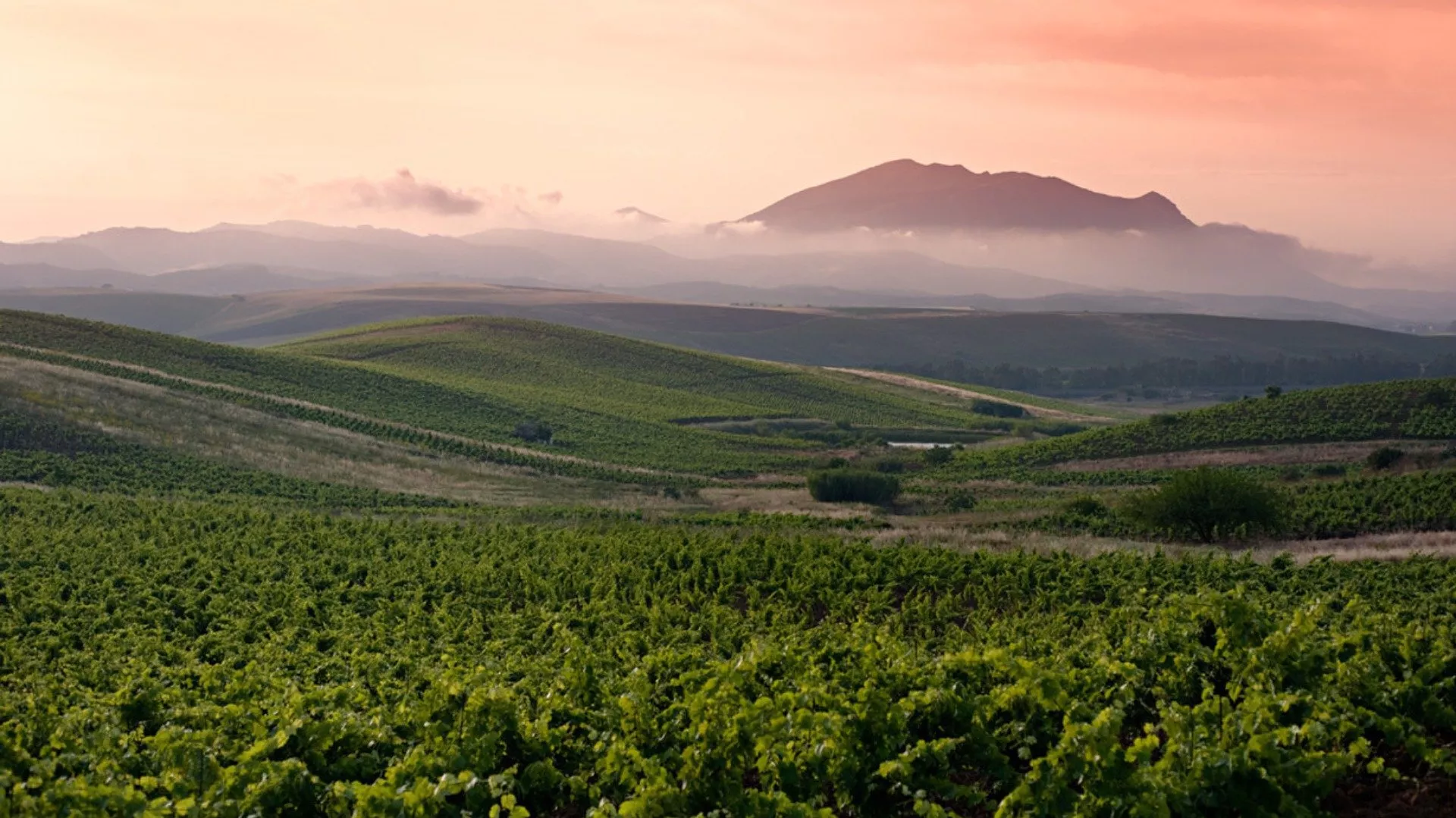 Sicilia: un viaggio sensoriale tra le cantine Sicilia: un viaggio sensoriale tra le cantine