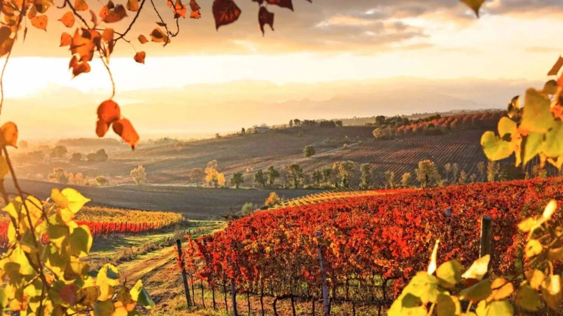 Sardegna, terra dai mille sapori Sardegna, terra dai mille sapori