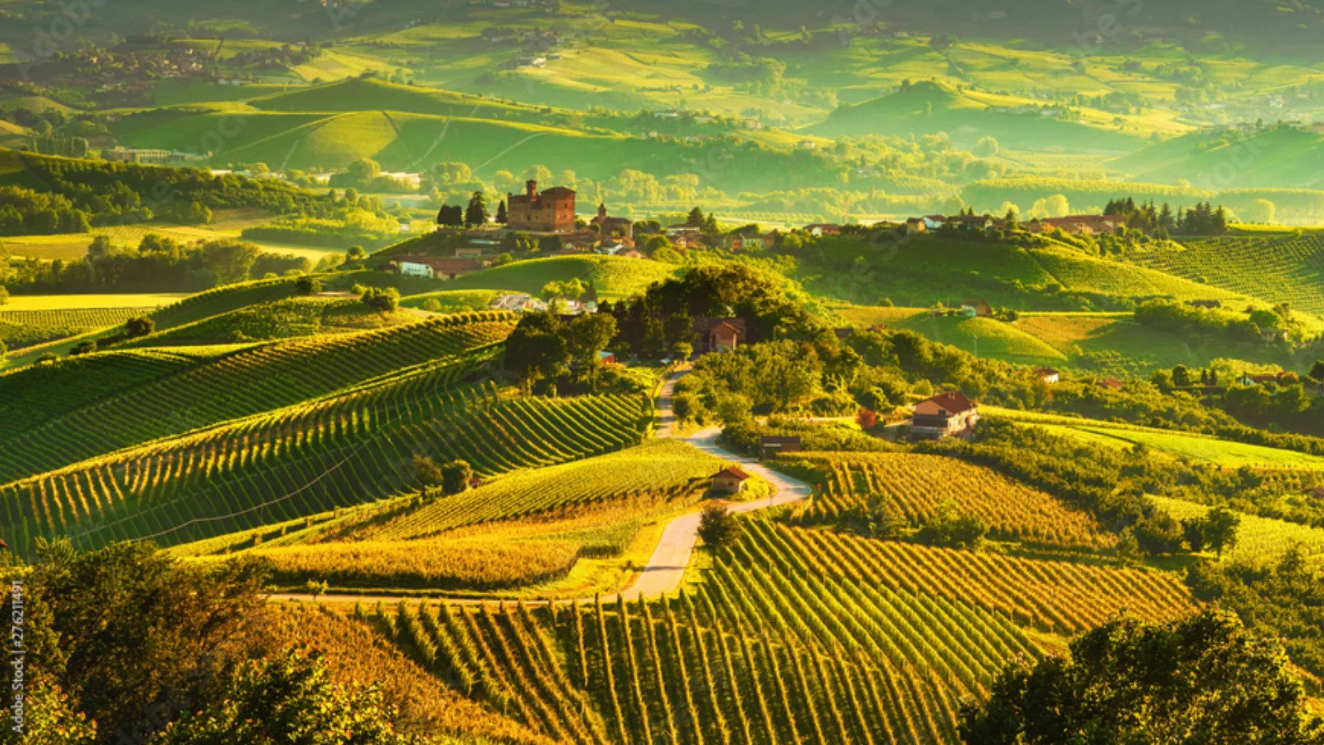 Scopri e Regala Esperienze Uniche nelle Cantine del Piemonte Scopri e Regala Esperienze Uniche nelle Cantine del Piemonte