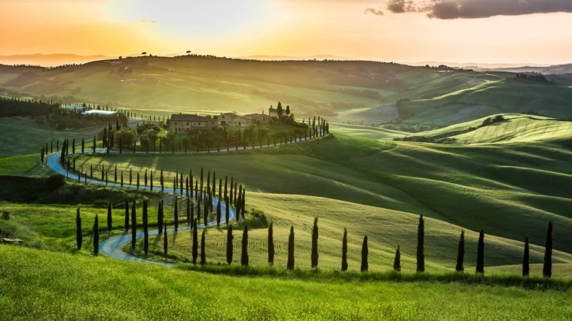 Cantine Toscana Cantine Toscana