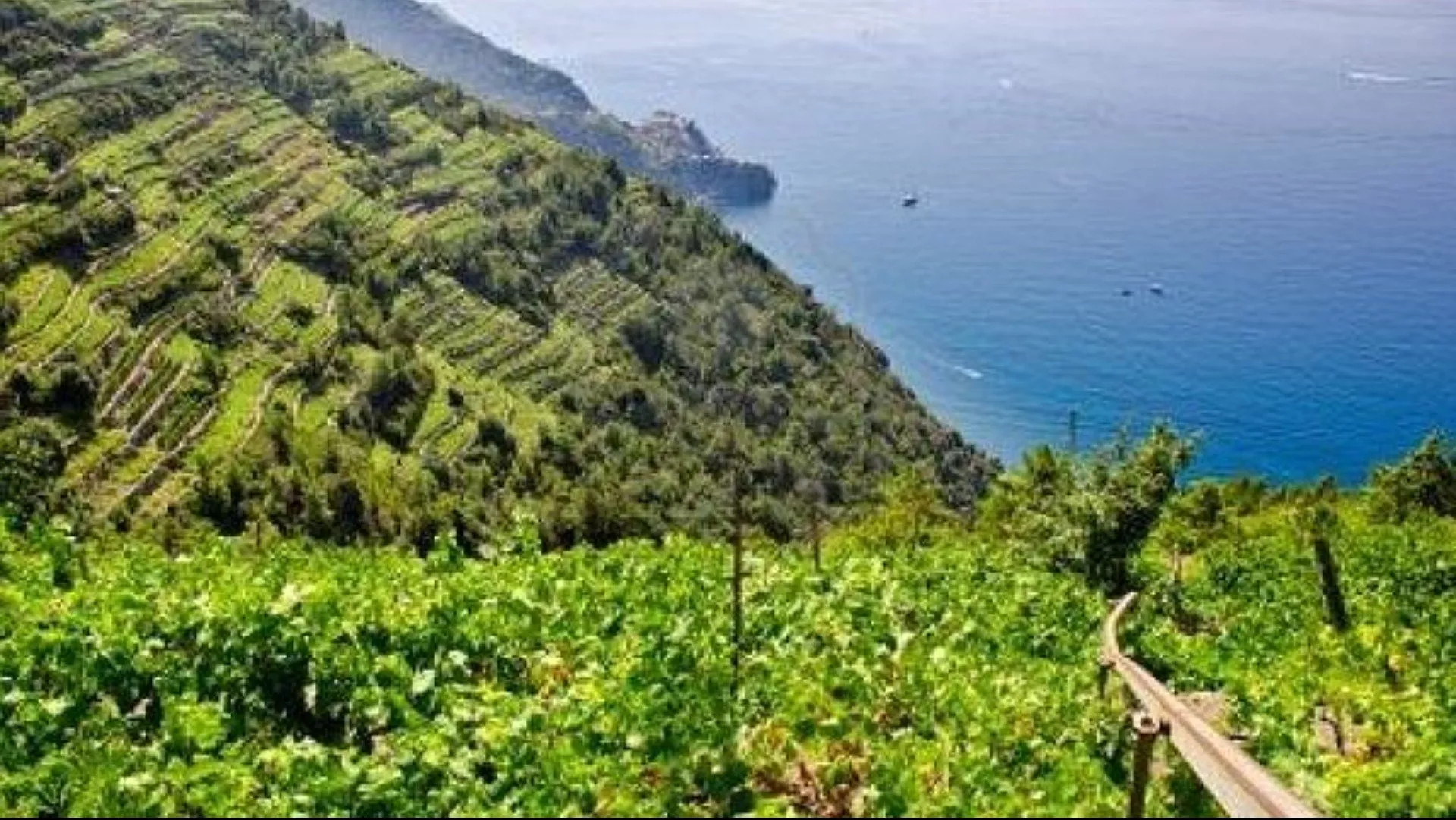Liguria: un viaggio tra mare e monti nelle cantine Liguria: un viaggio tra mare e monti nelle cantine